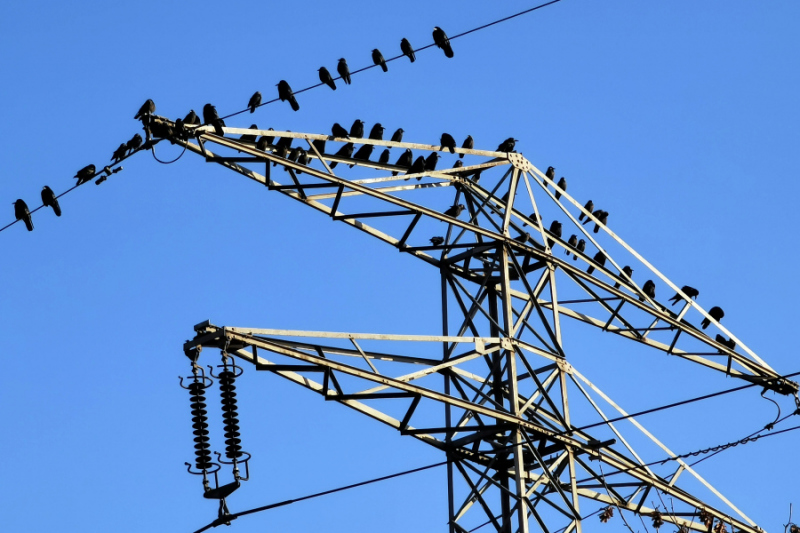 PGE przekazuje 10 mld złotych na obniżenie rachunków za energię